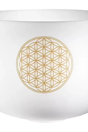 Sonic Energy PCSB16FOL - Bol de cristal " Flower of Life" 16" 128 Hz / C3 - Tout juste disponible