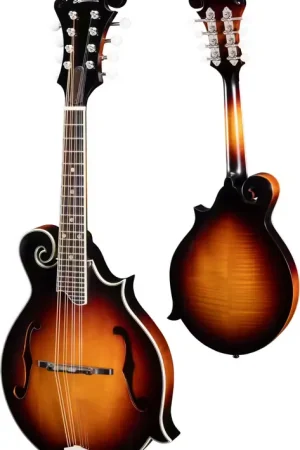 Offre | Eastman MD515_TV-WN-SB Sunburst