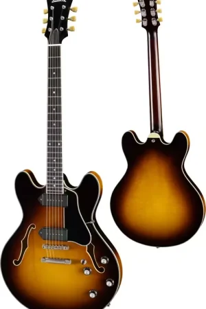 Très apprécié des clients - Eastman T60_TV-SB Sunburst
