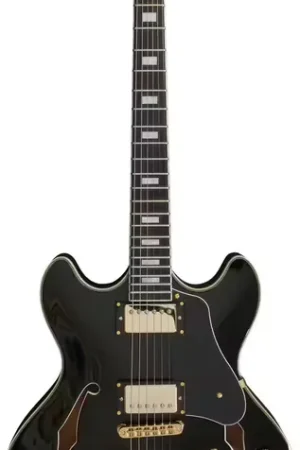 Achetez maintenant | Sire Larry Carlton H7 Bk Hollow Body En - STOCK B