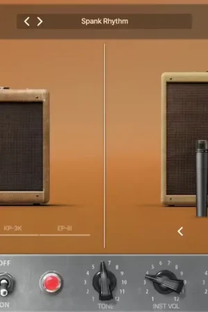 Très populaire | Universal Audio UAD Woodrow 55 Instrument Amp