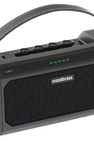 Woodbrass GE10 10W Noir | Ne manquez pas cette offre