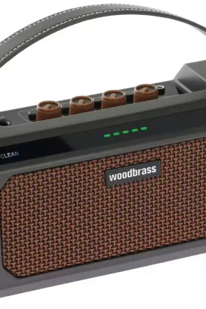 Achetez dès aujourd'hui - Woodbrass GE10 10W Noir Brun