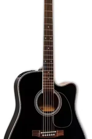 Takamine EF341DX Dreadnought CW Black | Tout juste disponible