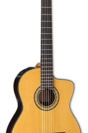 Offre du jour - Takamine EH5C Hirade Classique CW Natural
