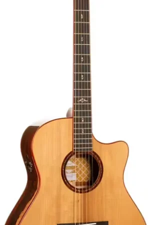 Cort Gold A10 Cocobolo Naturel Brillant - Derniers articles