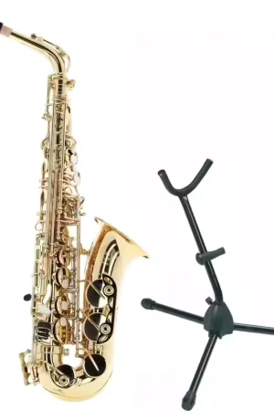 Woodbrass WSA100 Alto Mi B Verni + Stand | Offre