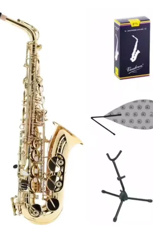 Tendance | Woodbrass Pack WSA100 Alto Prêt à Jouer