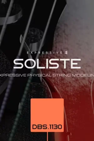 Plébiscité par les clients - Expressive E Soliste BDS.1130 Contrebasse
