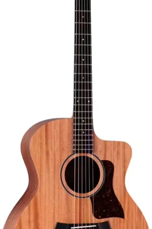 Prix cassé - Taylor Guitars 24ce Natural Grand Auditorium
