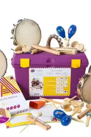 Fuzeau Malle Ateliers D'eveil Musical Jaune Melodique 24 instruments - Excellente qualité