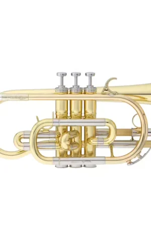 Promo exceptionnelle - Courtois Cornet Bellecour Sib Verni