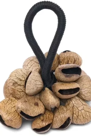Latin Percussion Pangi Rattle Avec Poignée LP0221 | Meilleure vente