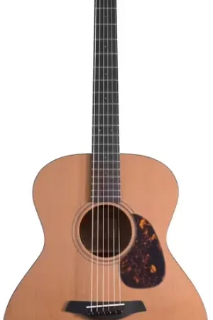 Furch Blue Grand Cm 43Mm - Réduction spéciale