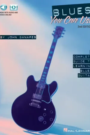 Prix spécial | Hal Leonard Blues You Can Use