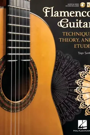 Tout nouveau - Berklee Flamenco Guitar