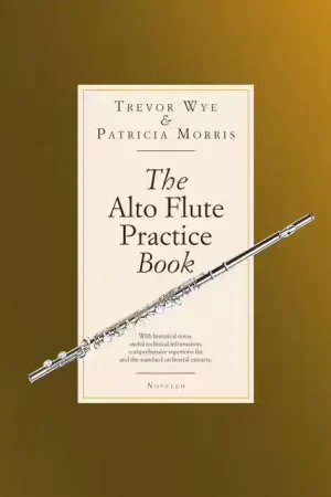 Novello The Alto Flute Practise Book - Super offre