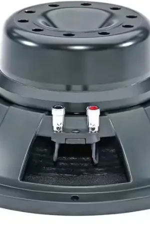 B&C Speakers 12 NW 100 - Offre limitée