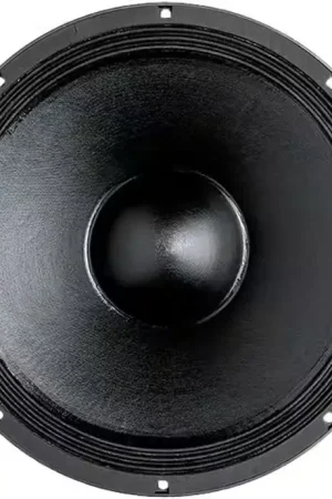 B&C Speakers 15 PS 100 | Incontournable