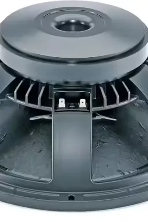 Haute qualité - B&C Speakers 15 PZB 100
