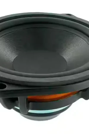 Bientôt épuisé - B&C Speakers 6NDL38