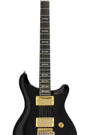 Sire Larry Carlton Q7 BK | Qualité premium