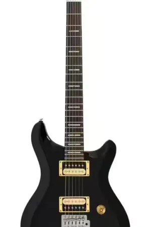 Nouveau chez nous | Sire Larry Carlton Q3 BK