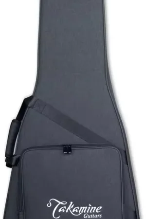 Plébiscité par les clients - Takamine Softcase Folk DreadNough - SH200A
