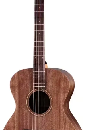 Taylor Guitars Jacob Collier Signature Model Academy 22e 5-string Natural Grand Concert - Fin de série
