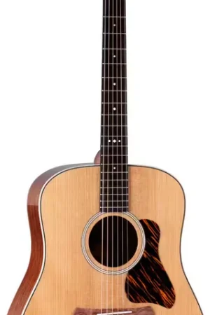Profitez-en | Taylor Guitars Gold Label 510e Natural Dreadnought