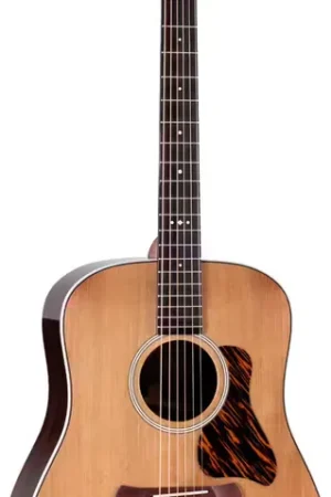 Taylor Guitars Gold Label 710e Natural Dreadnought | Réduction spéciale