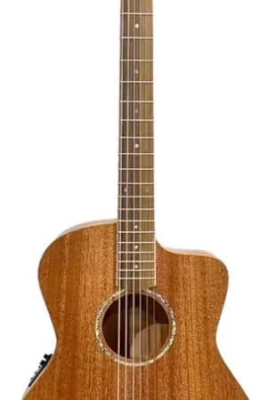 Dernières pièces - Cole Clark Studio San1Ec