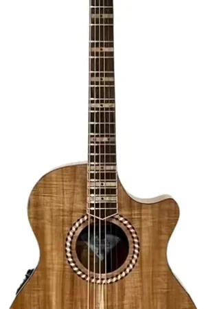 Offre flash - Cole Clark Studio Sran Deluxe