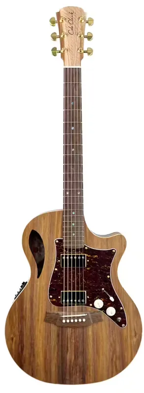 Cole Clark Tl2Ec-Blbl-Hh Etui | Offre