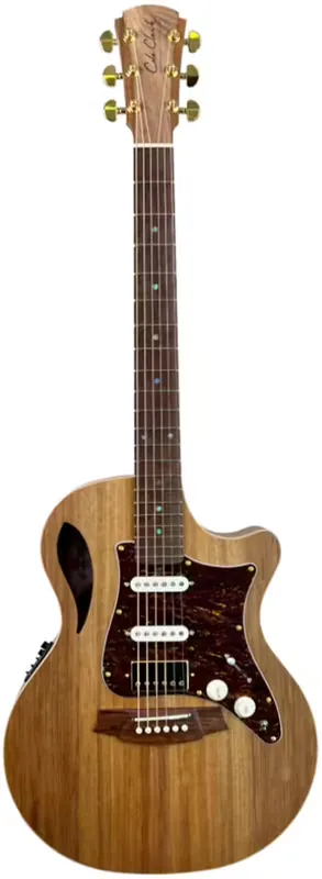 Tout juste disponible | Cole Clark Tl2Ec-Blbl-Hss Etui